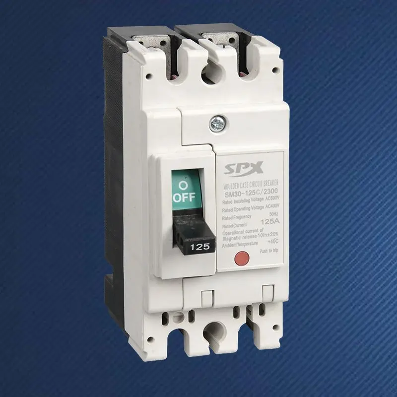 2P 125A støbt kabinet afbryder